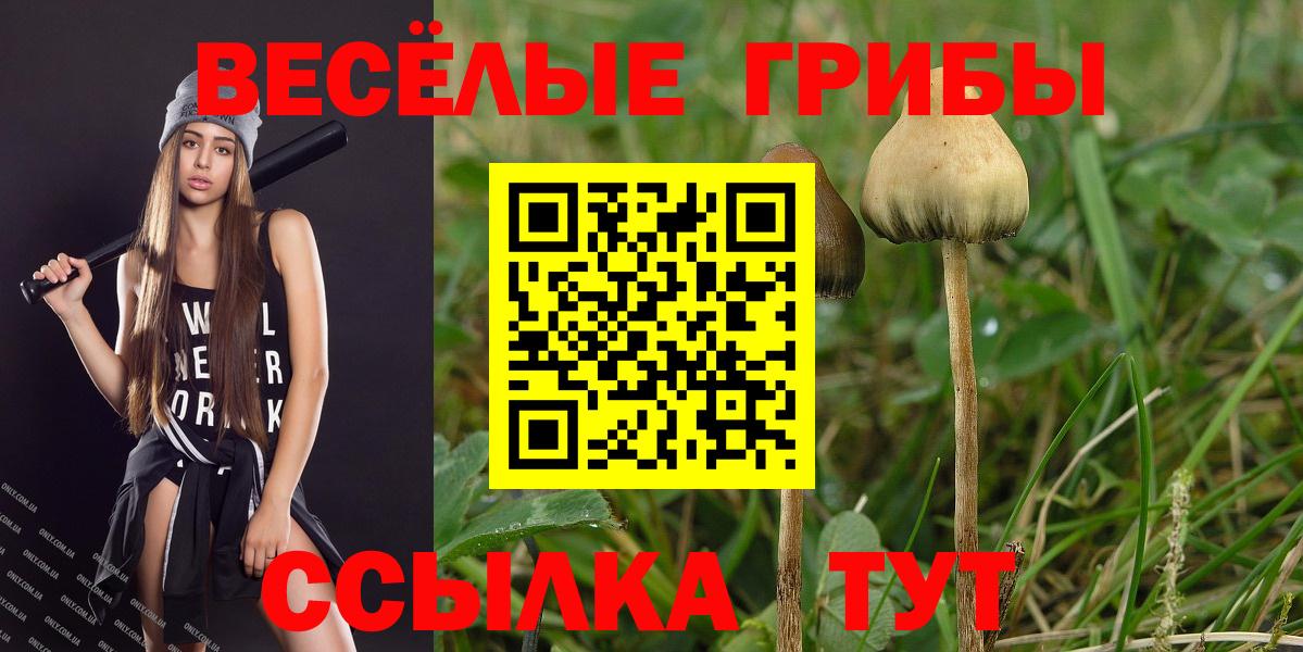 Галлюциногенные грибы GOLDEN TEACHER  Вход с VPN  Курган 